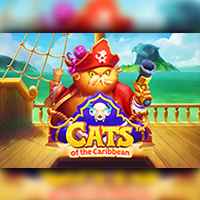 Cats Of The Caribbean